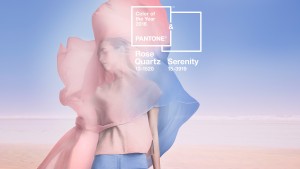 PANTONE-Color-of-the-Year-2016-v2-3840x2160 (1)